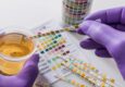 Fake urine is the trending solution which is similar to natural human pee