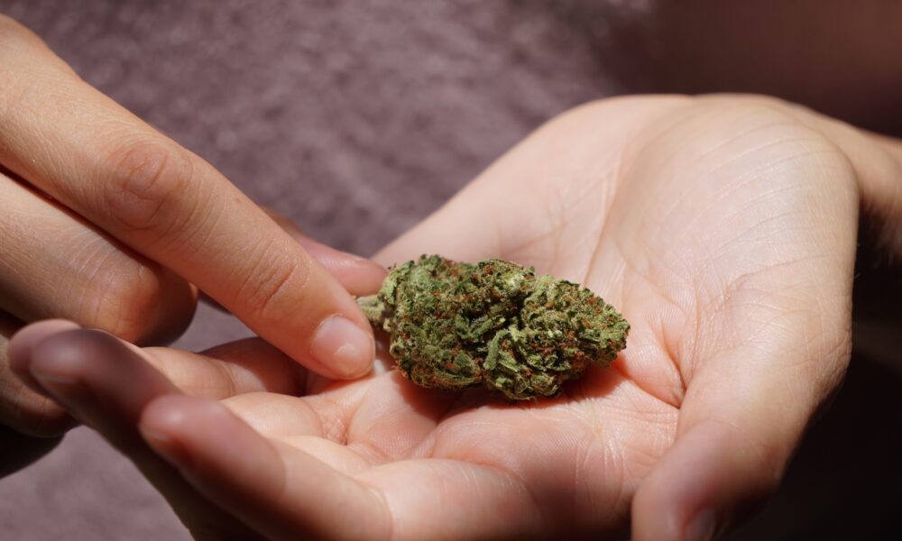 Sherbacio Weed
