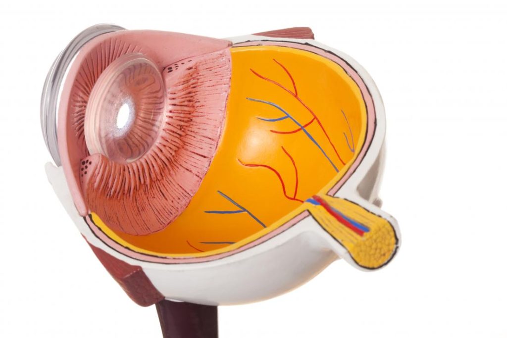 Central Serous Chorioretinopathy Treatment: Understanding the Side Effects